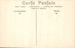 CPA Paris Le Jardin des Tuileries et l'Arc de Triomphe du Carrousel 