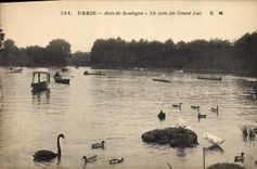 CPA Paris Bois de Boulogne Un coin du Grand Lac 