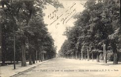 CPA Paris Le Bois de Boulogne Allee des Acacias 
