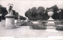 CPA Paris Allee Centrale du Jardin des Tuileries 