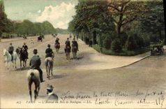 CPA Paris L'Avenue du Bois de Boulogne Chevaux Cheval