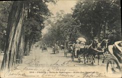 CPA Paris Bois de Boulogne Allee des Acacias Chevaux