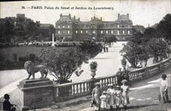 CPA Paris Palais du Senat et Jardin du Luxembourg 