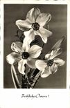 CPA Frohliche Ostern Fleurs