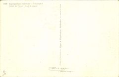 CPA Cypripedium calceolus Fleurs