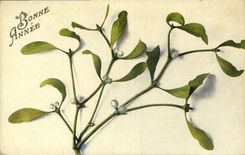 CPA Bonne Annee Fleurs