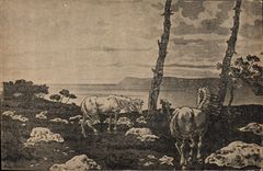 CPA Chevaux