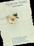 CPA Fleurs de France Porte Bonheur Fleurs