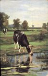 CPA Vache