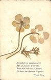 CPA Hirondelle je voudrais etre fleurs sechees