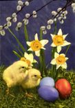 CPA Fleurs Poussins