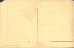 CPA Venezia R Accademia Bellini Madonna degli Alberetti 