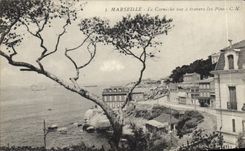 CPA Marseille La Corniche vue a Travers Les Pins 