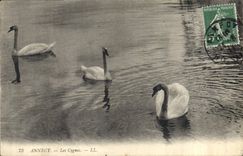 CPA Annecy Les Cygnes 