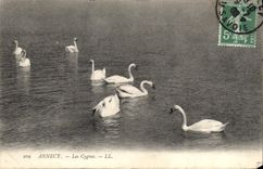 CPA Annecy Les Cygnes 
