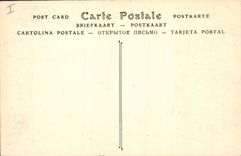 CPA Environs d'Aix les Bains Lac du Bourget la Route de Brisson 