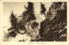 CPA Chamonix Aiguille du Dru 
