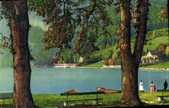 CPA Lac d'Annecy Talloires Bord du Lac 