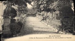 CPA Aix en Provence L'Allee des Marronniers de l'Hostellerie du Riviera Hotels au Pigonnet 