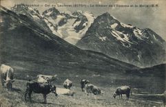 CPA Dauphine Col du Lautaret Le Glacier de l'Homme et la Meije Vaches