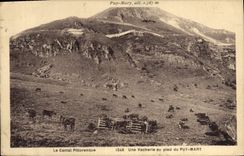 CPA Le Cantal Pittoresque une Vacherie au Pied du Puy Mary 