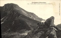 CPA Montagnes d'Auvergne le Puy Mary vu de la Route de Murat a Salers Chevre