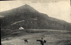 CPA Cantal un Paturage au Puy Mary 