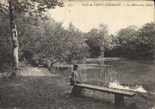 CPA Foret de Saint Germain la Mare aux Canes 