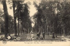 CPA Saint Germain en Laye Route des Loges Contre Allee Entree de la Foret 