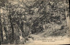 CPA La Sainte Baume Dans la Foret Chemin du Canape 