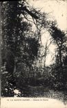 CPA La Sainte Baume Chemin de Giniez 