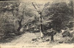 CPA La Sainte Baume La Foret Le Canape 