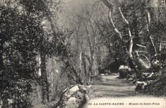 CPA La Sainte Baume Montee du Saint Pilon 