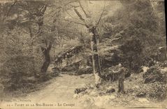 CPA Foret de la Ste Baume Le Canape 