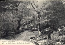 CPA La Sainte Baume La Foret Le Canape 