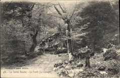 CPA La Sainte Baume La Foret Le Canape 