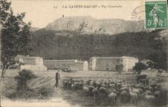 CPA La Sainte Baume Vue Generale Berger Moutons