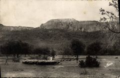CPA La Sainte Baume Var Vue generale Foret Moutons