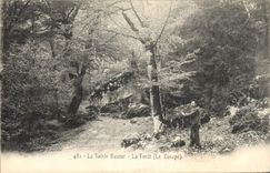 CPA La Sainte Baume La Foret Le Canape 
