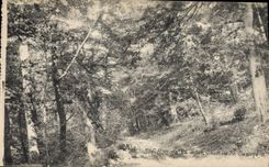 CPA Ste Baume La Foret Chemin du Canape 