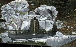 CPA La Sainte Baume La Fontaine de Nans 