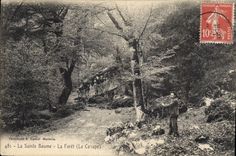 CPA La Sainte Baume La Foret Le Canape 