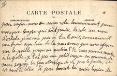 CPA La Sainte Baume Le St Pilon vue prise sur le Plateau 