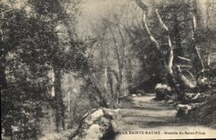 CPA La Sainte Baume Montee du Saint Pilon 