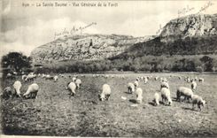 CPA La Sainte Baume Vue Generale de la Foret 