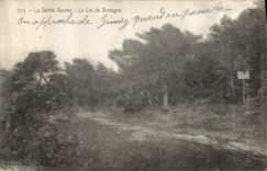 CPA La Sainte Baume Le Col de Bretagne 