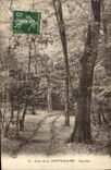 CPA Foret de la Sainte Baume Sous bois 