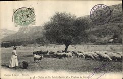 CPA Chaine de la Sainte Baume et le Plateau de Giniez 