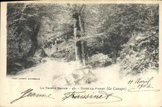 CPA La Sainte Baume Dans la Foret Le Canape 