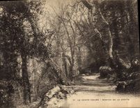 CPA La Sainte Baume Montee de la Grotte 